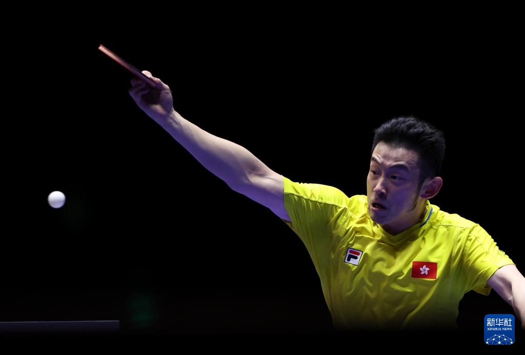 有望在未来 有望在未来